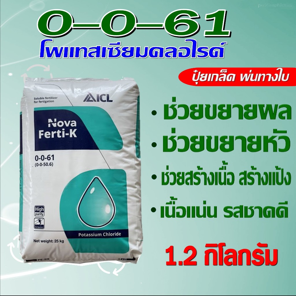 0-0-61 ปุ๋ยเกล็ด Ferti-K ช่วยขยายผล ขยายหัว เพิ่มแป้ง เพิ่มน้ำหนัก รสชาดดี บรรจุ 1.2 กิโลกรัม