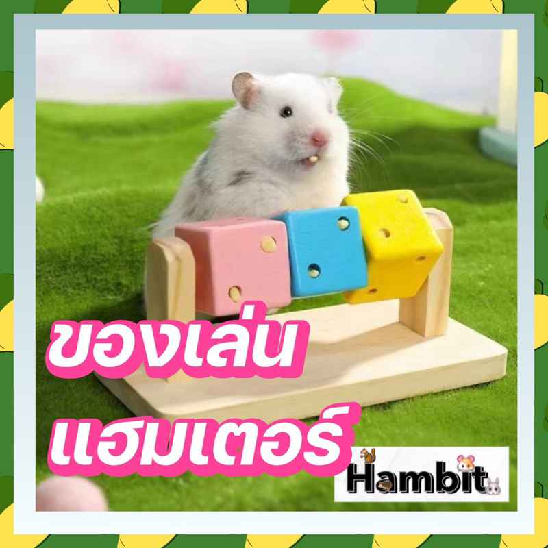 Hambit. ของเล่นแฮมเตอร์ ลูกเต๋าลับฟัน ของตกแต่งกรง ลูกกลิ้งแฮมเตอร์