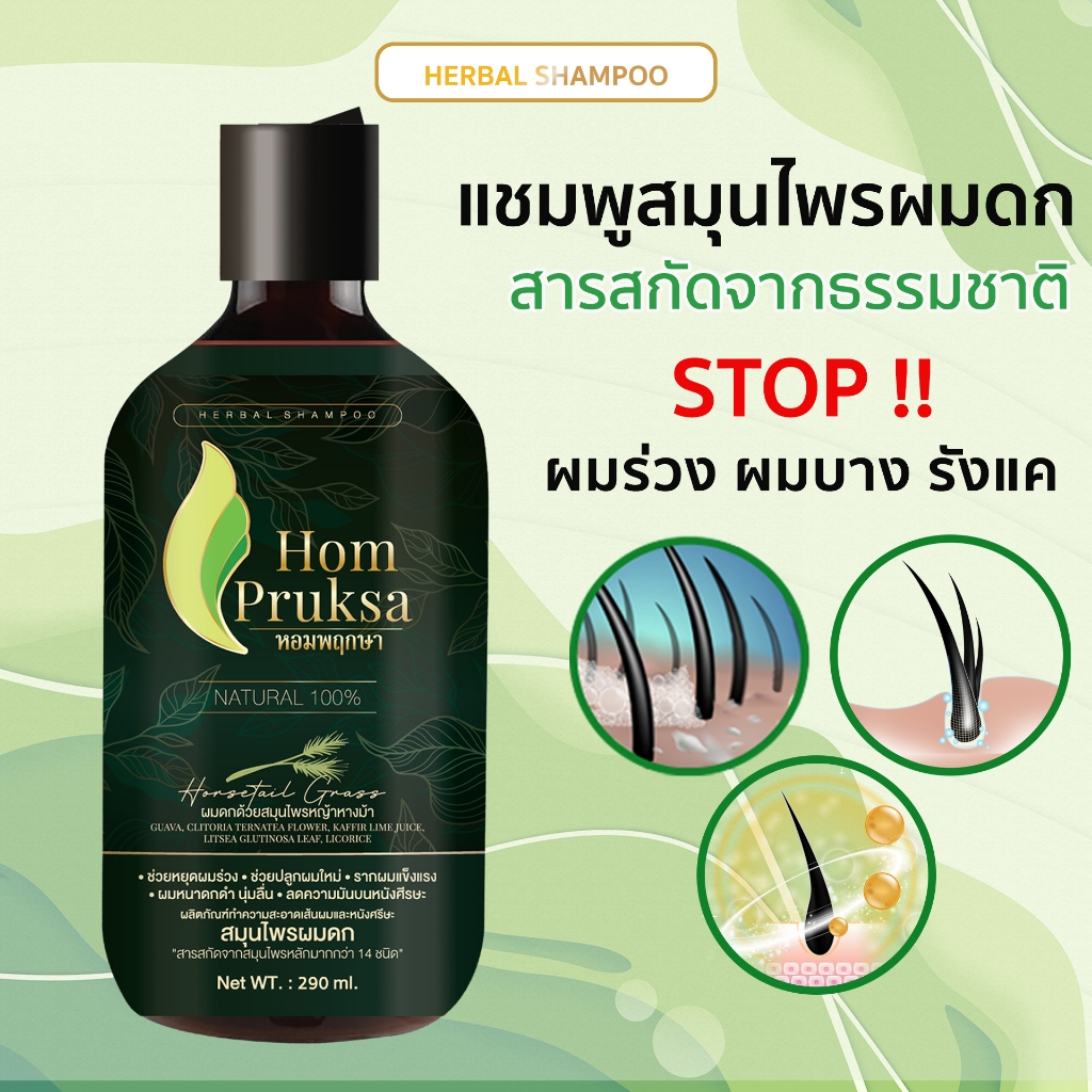 แชมพูปลูกผม แฮร์ เฮอร์เบิล แชมพู Hair Herbal Shampoo ผมดก ลดผมร่วง หอมพฤกษา (Hom Pruksa) ขนาด 290 ml.
