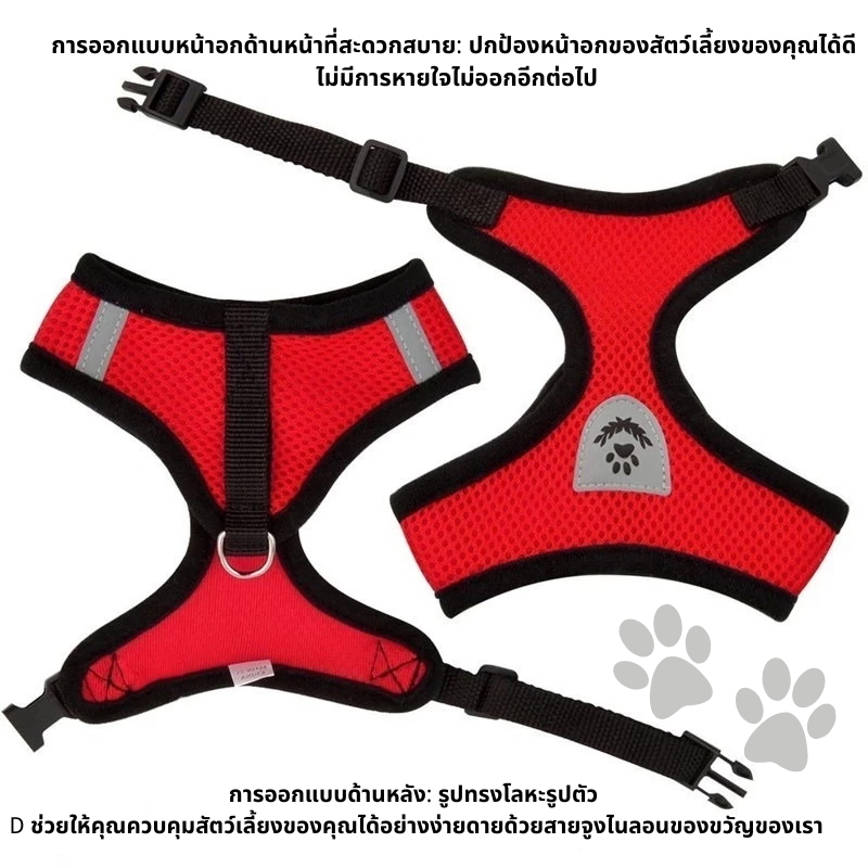 สายจูงแมวพร้อมสายรัดอก ป้องกันการหลุดได้ ปรับได้ ใช้ได้กับแมว สุนัข และกระต่าย - รูปที่ 6