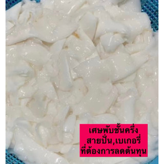 [1kg]❗️ถูกและดี พร้อมส่ง 🌴เศษพับ ชั้นครึ่ง -เนื้อมะพร้าวน้ำห…