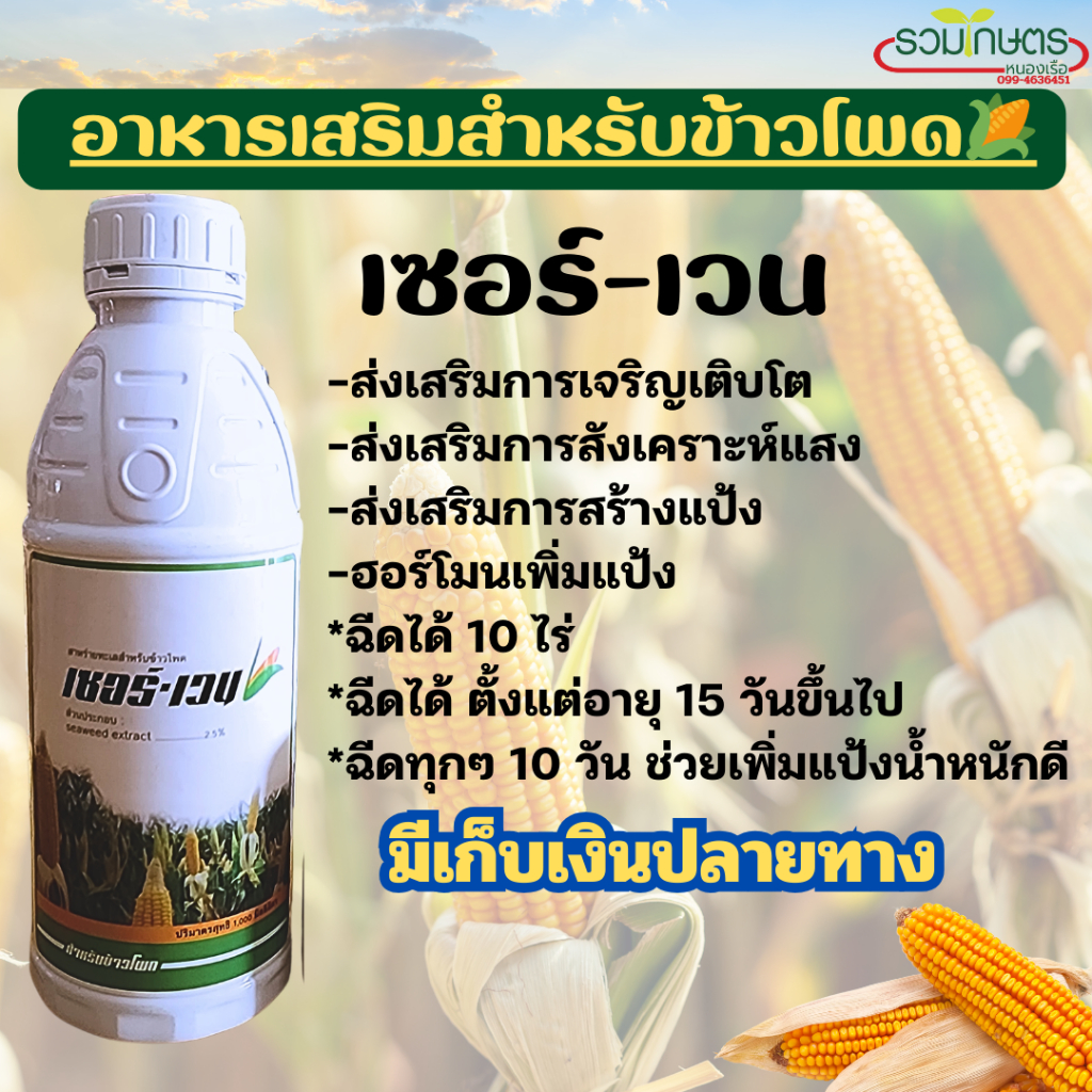 เซอร์เวน ฮอร์โมนและอาหารเสริมสกัดจากสาหร่ายสำหรับข้าวโพด ขนาด 1 ลิตร