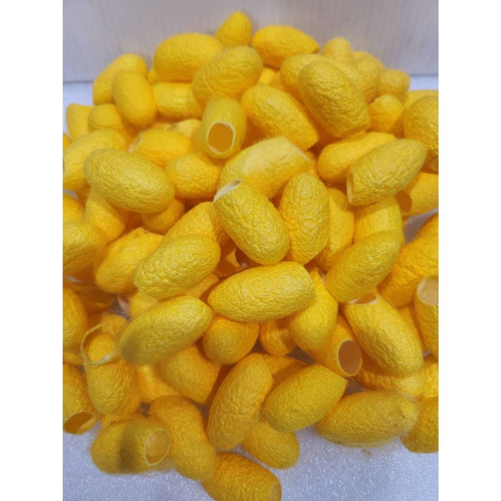 รังไหมสีทองคละไซด์ 20g  001942 สินค้าเป็นวัตถุดิบเครื่องสำอางค์