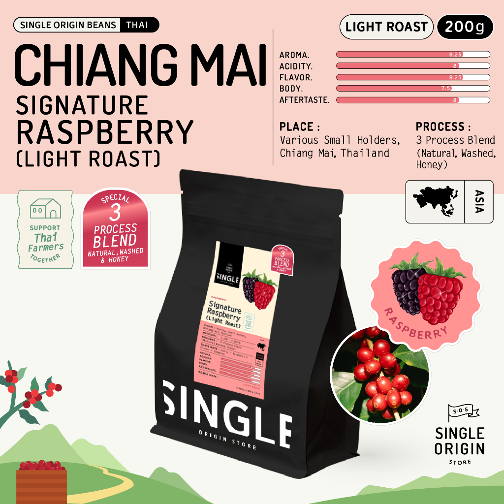Signature Light Roast for Filter - Raspberry (Specialty Coffee)