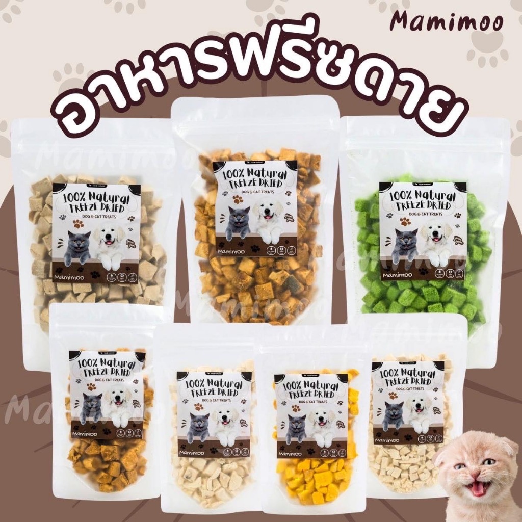 ขนมฟรีซดรายสัตว์ สำหรับ สุนัข แมว สัตว์ฟันแทะ แฮมเตอร์ ชูก้าไกลเดอร์ ขนาด100g  ไม่เติมเกลือ ไม่เป็นโรคไต