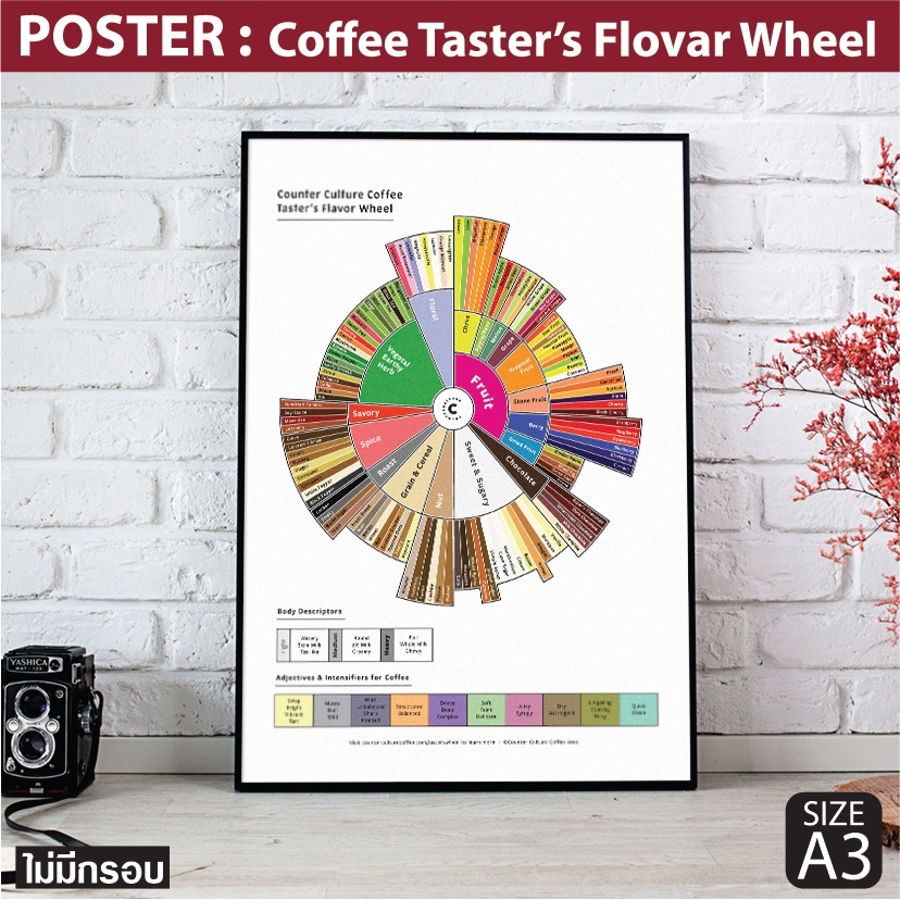 โปสเตอร์กาแฟ Coffee Taster's Flavor Wheel Poster แผนภูมิที่บรรยายรสชาติและกลิ่นของกาแฟ แต่งร้านกาแฟ