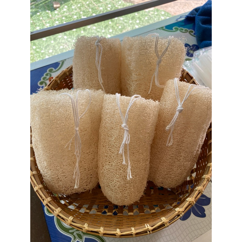 บวบท่อน 4-5 นิ้ว พร้อมเชือกร้อย ใยบวบอาบน้ำ - รูปที่ 2