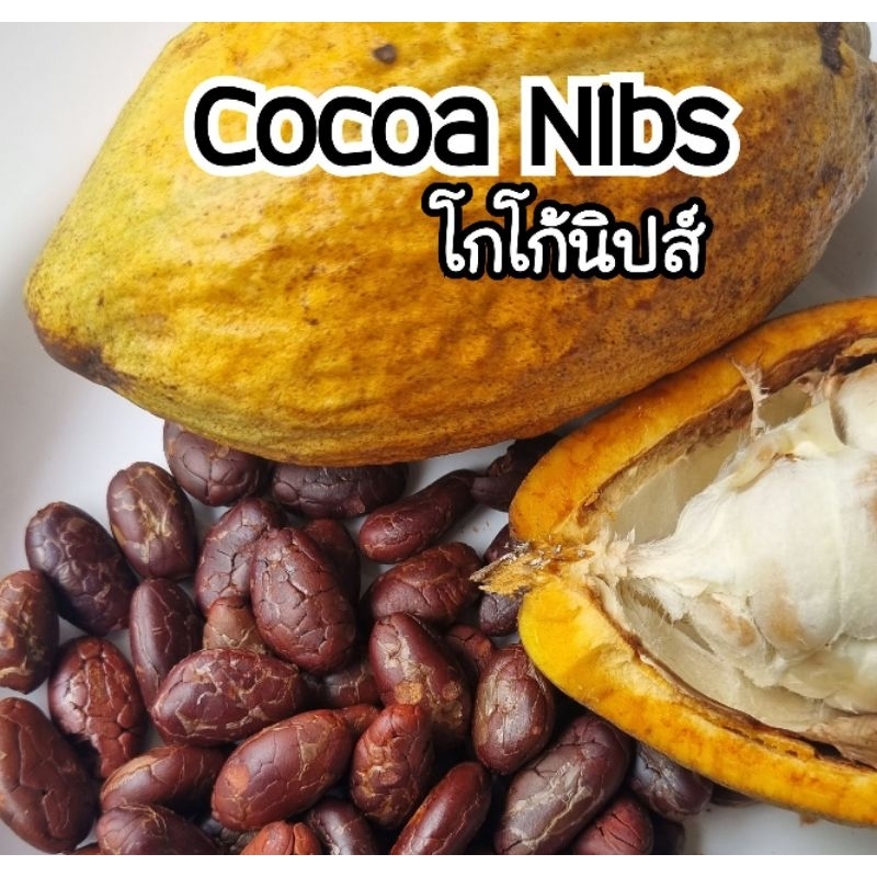 โกโก้นิปส์แบบเม็ด Cocoa Nibs180กรัม