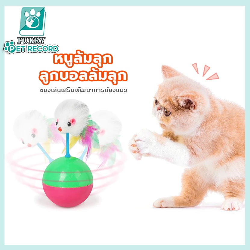 อลของเล่บนแมว ลูกบอลล้มลุก ลูกบอลหนูล้มลุก บอลล้มลุก ของเล่นแมว หนูล้มลุก ของเล่นลูกแมว