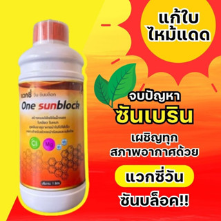 แว็กซี่วัน ซันบล็อค สูตรแก้ปัญหาใบไหม้จากแสงแดดและอากาศเย็นเ…