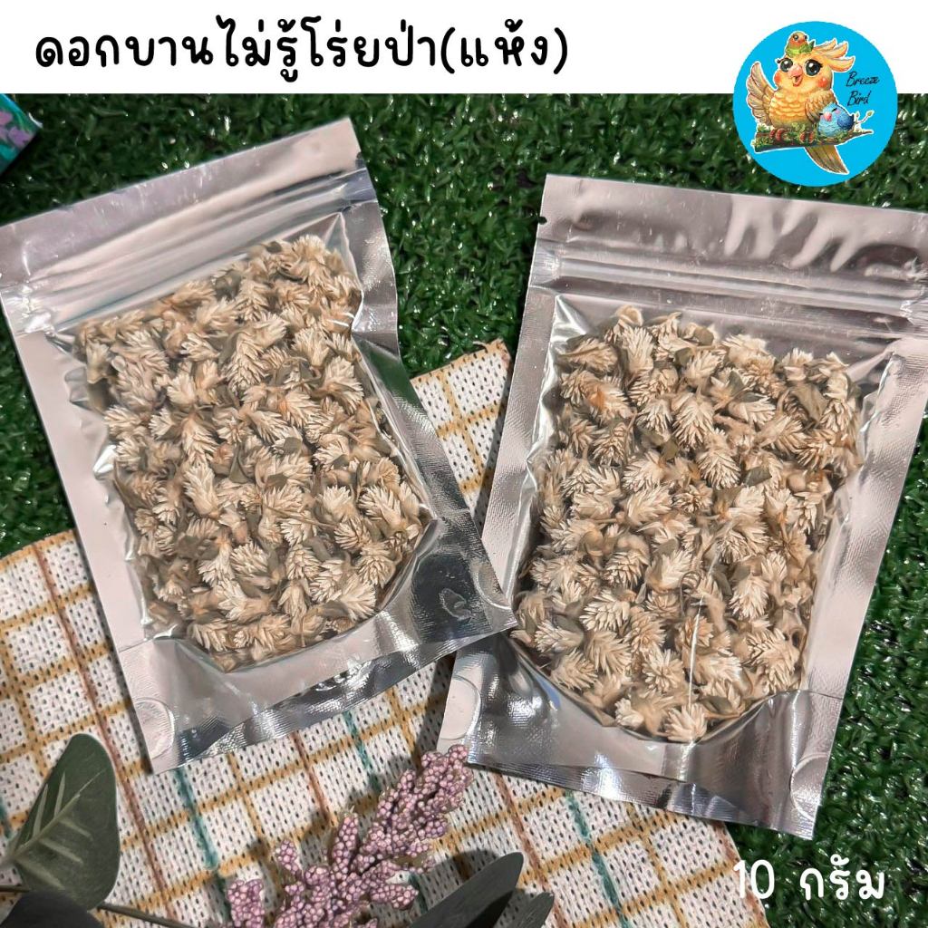 ดอกบานไม่รู้โรยป่าแห้ง(คัดแต่ดอกไม่ติดใบ)สำหรับนก