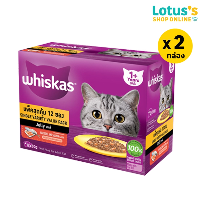 รูปภาพ 8