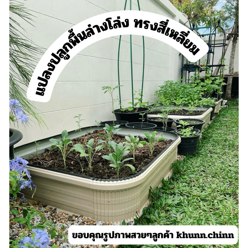 กระบะผักทรงสี่เหลี่ยม  แข็งแรง ทนทานมาก