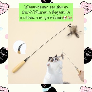 AL-590 ไม้ตกแมวขนนก ของเล่นแมว ช่วยทำให้แมวสนุก ดึงดูดสนใจ ยาว50ซม. ราคาถูก พร้อมส่ง