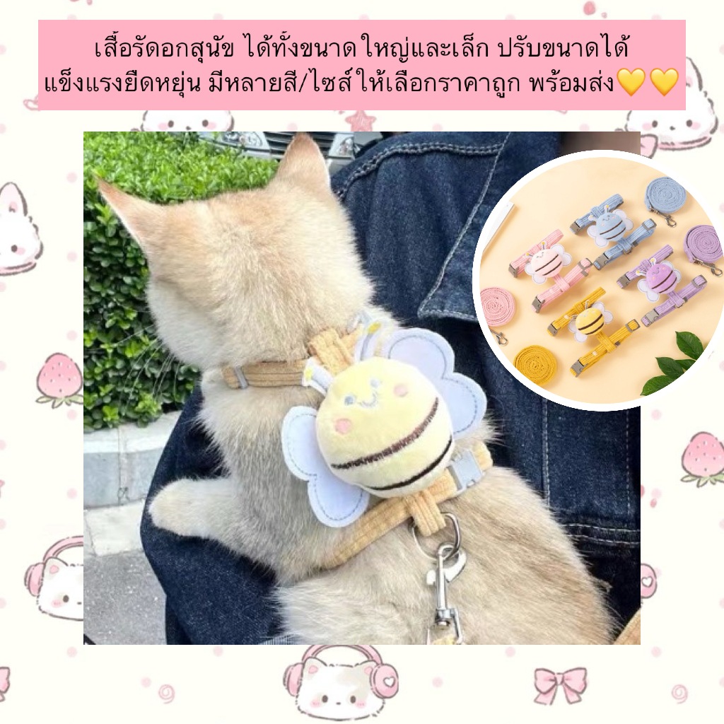 AL-1250 สายจูง ฮาเนส ขนาดเล็กสำหรับสัตว์เลี้ยง แมว กระต่าย หมา ลายผึ้งน้อย พร้อมส่ง