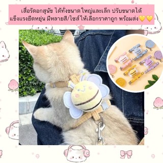 AL-1250 สายจูง ฮาเนส ขนาดเล็กสำหรับสัตว์เลี้ยง แมว กระต่าย หมา ลายผึ้งน้อย พร้อมส่ง💘