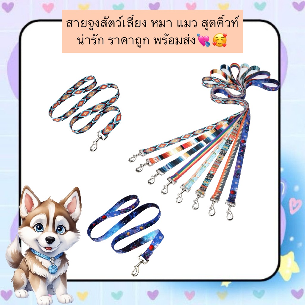 PP-573 สายจูงสัตว์เลี้ยง หมา แมว สุดคิ้วท์ น่ารัก ราคาถูก พร้อมส่ง