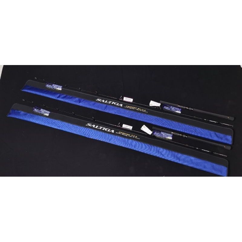 DAIWA SALTIGA C ASTING (JDM)