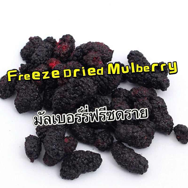 Freeze Dried Mulberry 20g มัลเบอร์รี่ฟรีซดราย ขนมนก ผสมกับอาหาร นกกัดง่าย โดยเฉพาะนกขนาดเล็ก ขนมนกแก้ว อาหารนก