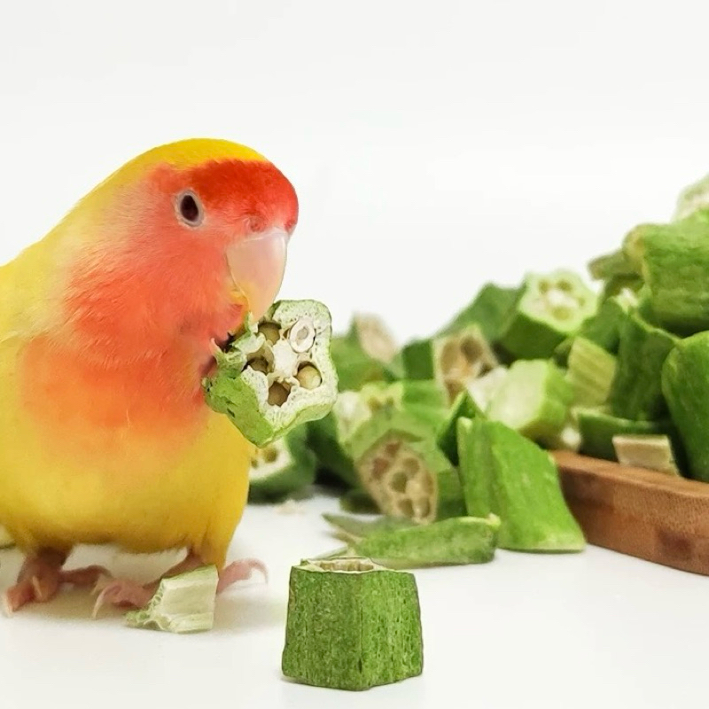 Freeze Dried Okra 5g กระเจี๊ยบฟรีซดราย ขนมนก ผสมกับอาหาร นกกัดง่าย โดยเฉพาะนกขนาดเล็ก ขนมนกแก้ว อาหารนก