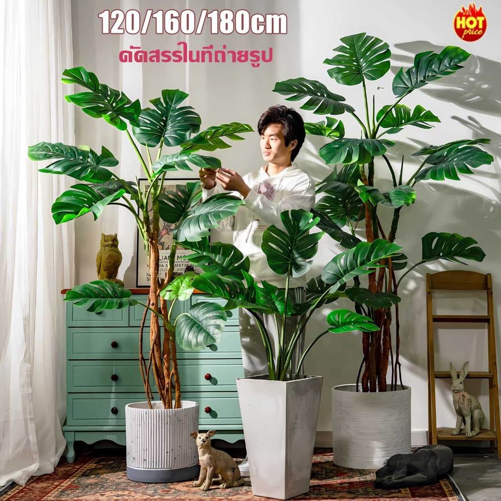 🌳ถ่ายจริง🌳120/160/180cm มอนเสตอร่า ต้นไม้ปลอม พร้อมกระถาง ใช้สำหรับในสวน/ห้องนั่งเล่น  ร้านกาแฟ