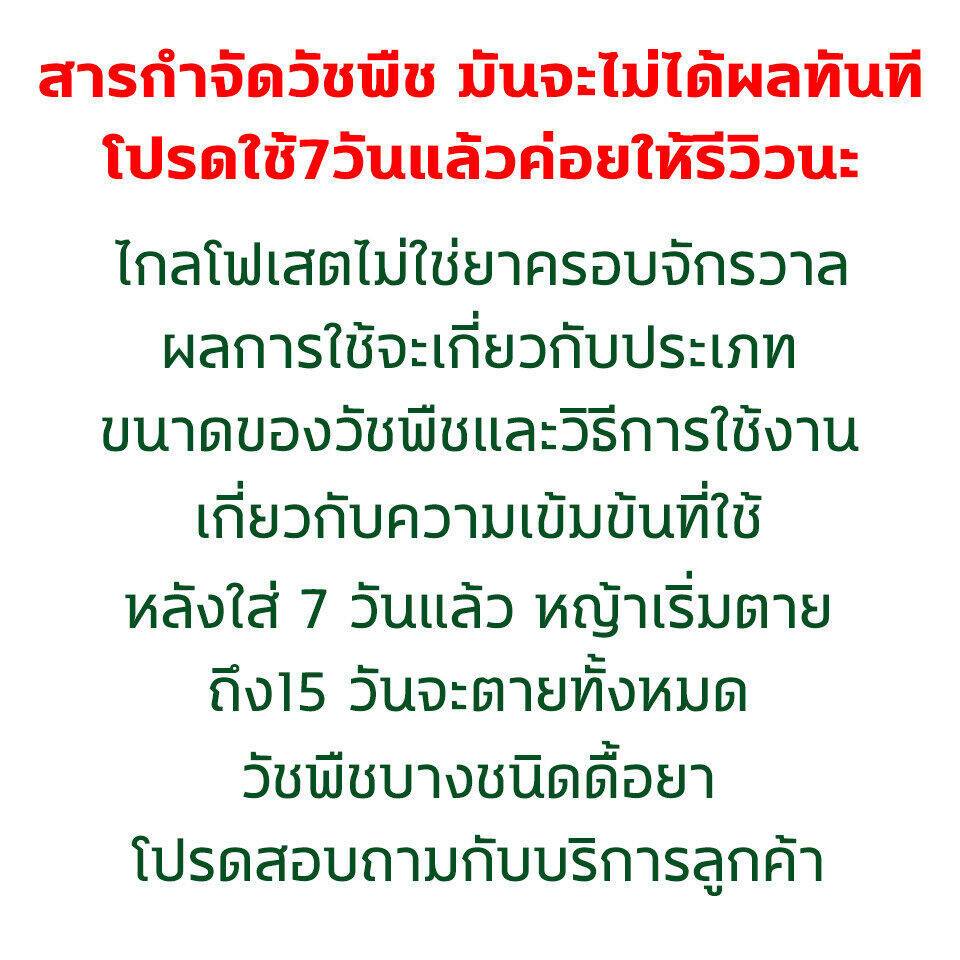 วัชพืชลีบหมด สารกำจัดวัชพืช ไม่งอกใน10ปี มีประสิทธิภาพ วัชพืชไม่มีอีก ไกลโฟเสต 88%1 ถุง ผสมน้ำ 18-20 ลิตร วัชพืชสามาร ราคา ถูกที่สุด ดีลบีเคเค แกลเลอรีภาพที่ 8