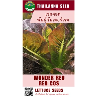 เมล็ดพันธุ์ผักสลัด เรดคอส พันธุ์วันเดอร์เรด ( ขนาด 0.5 กรัม ) รหัสสินค้า 3019
