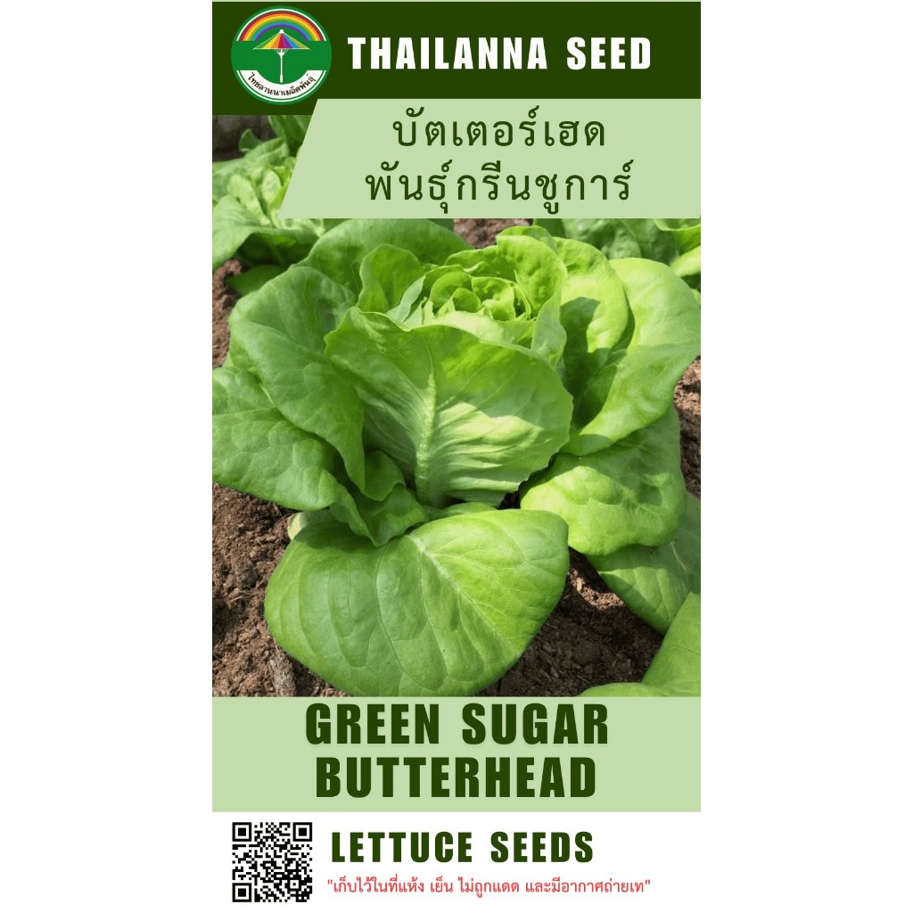 เมล็ดพันธุ์ผักสลัด บัตเตอร์เฮด พันธุ์กรีนชูการ์ ( ขนาด 0.5 กรัม ) ( เมล็ดเปลือย ) รหัสสินค้า 3014