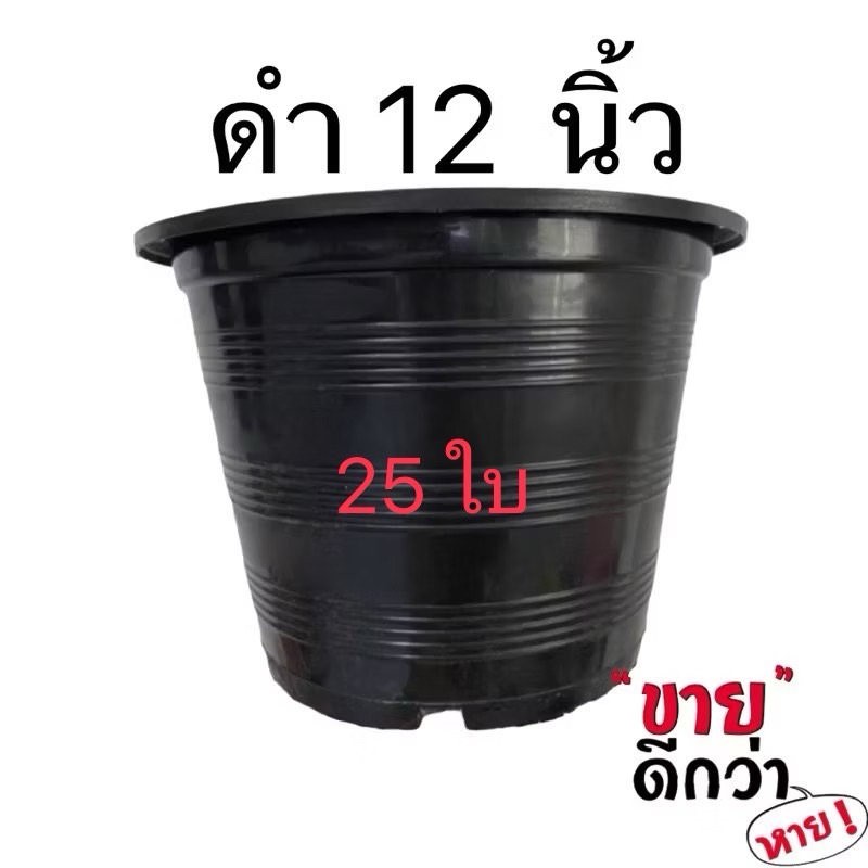 กระถางต้นไม้ 12นิ้ว สีดำเงา 25ใบ