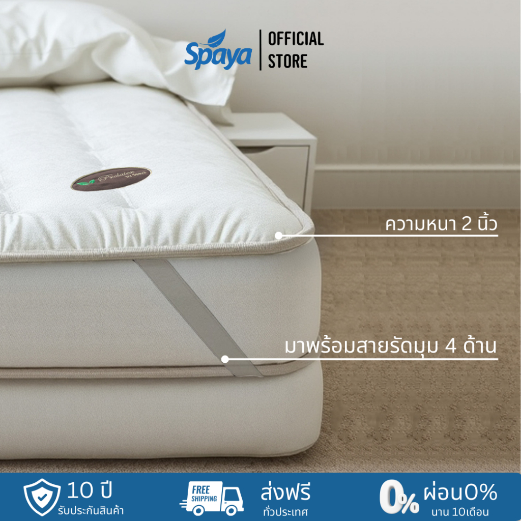 SPAYA Prolatex topper สปาย่า ท็อปเปอร์ ยางพารา หุ้มผ้าคอตต้อนนาโน แผ่นรองที่นอน [ ขนาด 3 / 3.5 / 5 / 6 ฟุต หนา 2 นิ้ว ] ราคา ถูกที่สุด ดีลบีเคเค แกลเลอรีภาพที่ 3