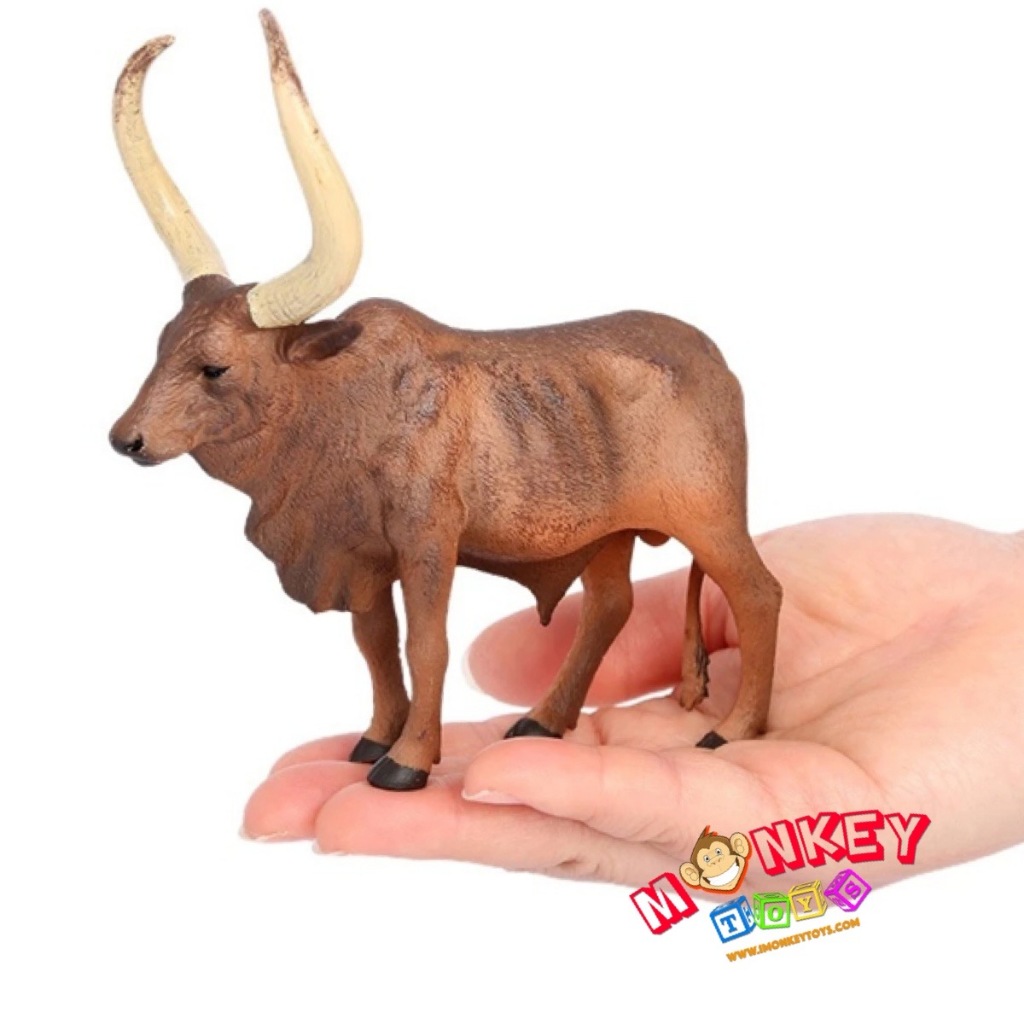 Monkey Toys โมเดลสัตว์ Cow วัว แองโกล วาตูซี พ่อ แดง ขนาด 12.50 CM (จากหาดใหญ่)