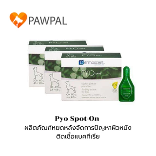 Dermoscent Pyo Spot-On🔥 ผลิตภัณฑ์หยดหลังจัดการปัญหาผิวหนังติดเชื้อแบคทีเรีย สำหรับสุนัข