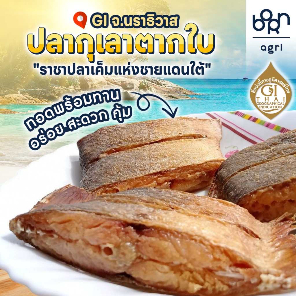 จ.นราธิวาส ปลากุเลาตากใบทอดพร้อมทาน (หมายเหตุ: โปรดสั่งจังหวัดเดียวกันต่อออเดอร์)
