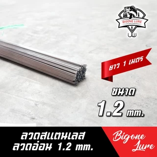 ลวดสแตนเลส ตกปลา แบบนิ่ม และ แบบ สปริง ลวดสเตนเลส 304 ลวดเชื่อม ลวดเติม