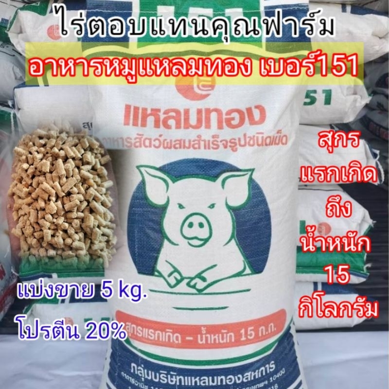 #อาหารสุกรแหลมทอง151 #อาหารหมูแหลมทอง #อาหารสุกร #แหลมทอง151 #ร้านตอบแทนคุณการเกษตรสกลนคร