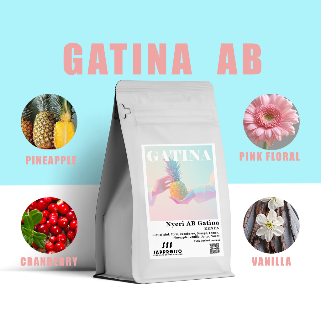 เมล็ดกาแฟพิเศษเคนย่า Kenya - Nyeri Gatina AB