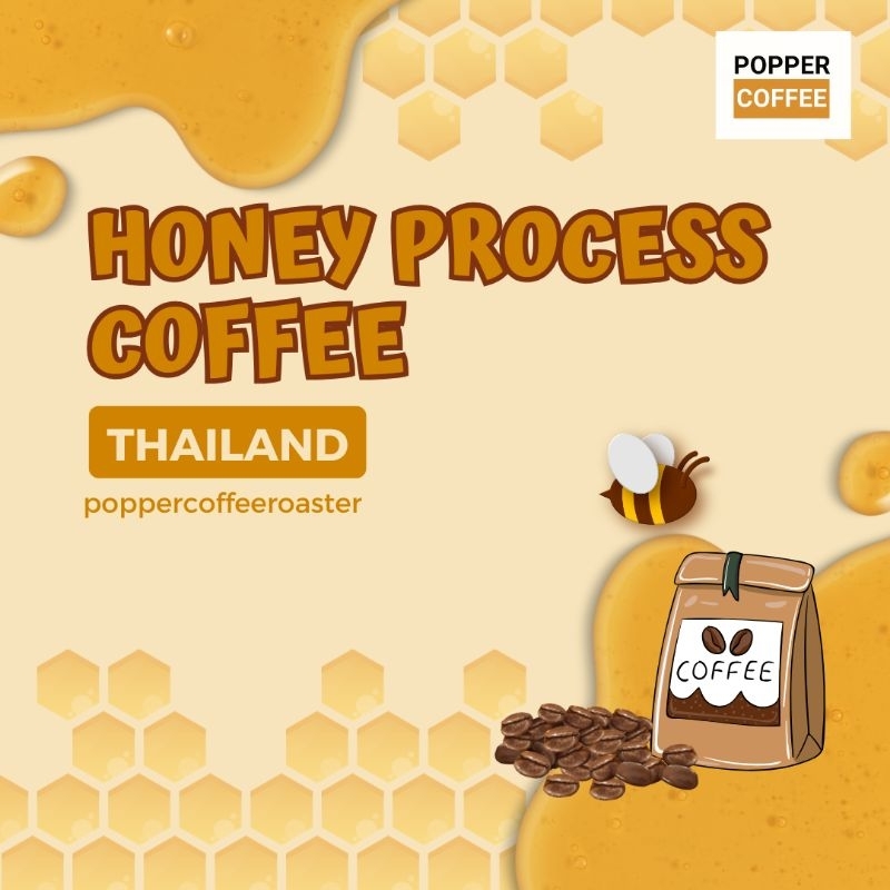 กาแฟคั่ว Thai Honey Process coffee 200 กรัม by Popper Coffee