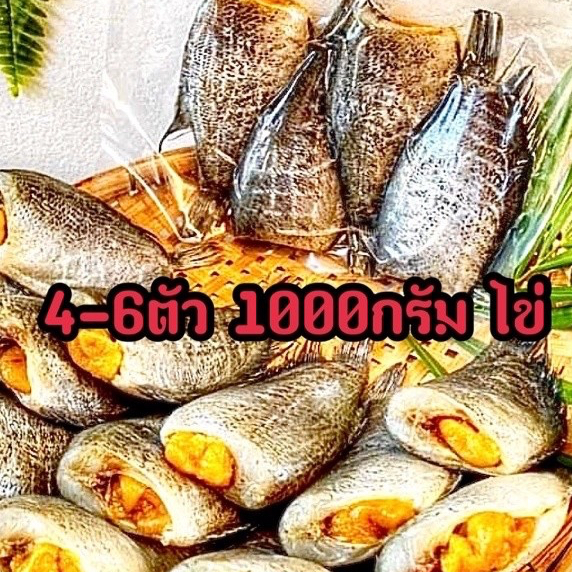 ปลาสลิดแดดเดียว 1000 กรัม ทำสดใหม่สะอาด
