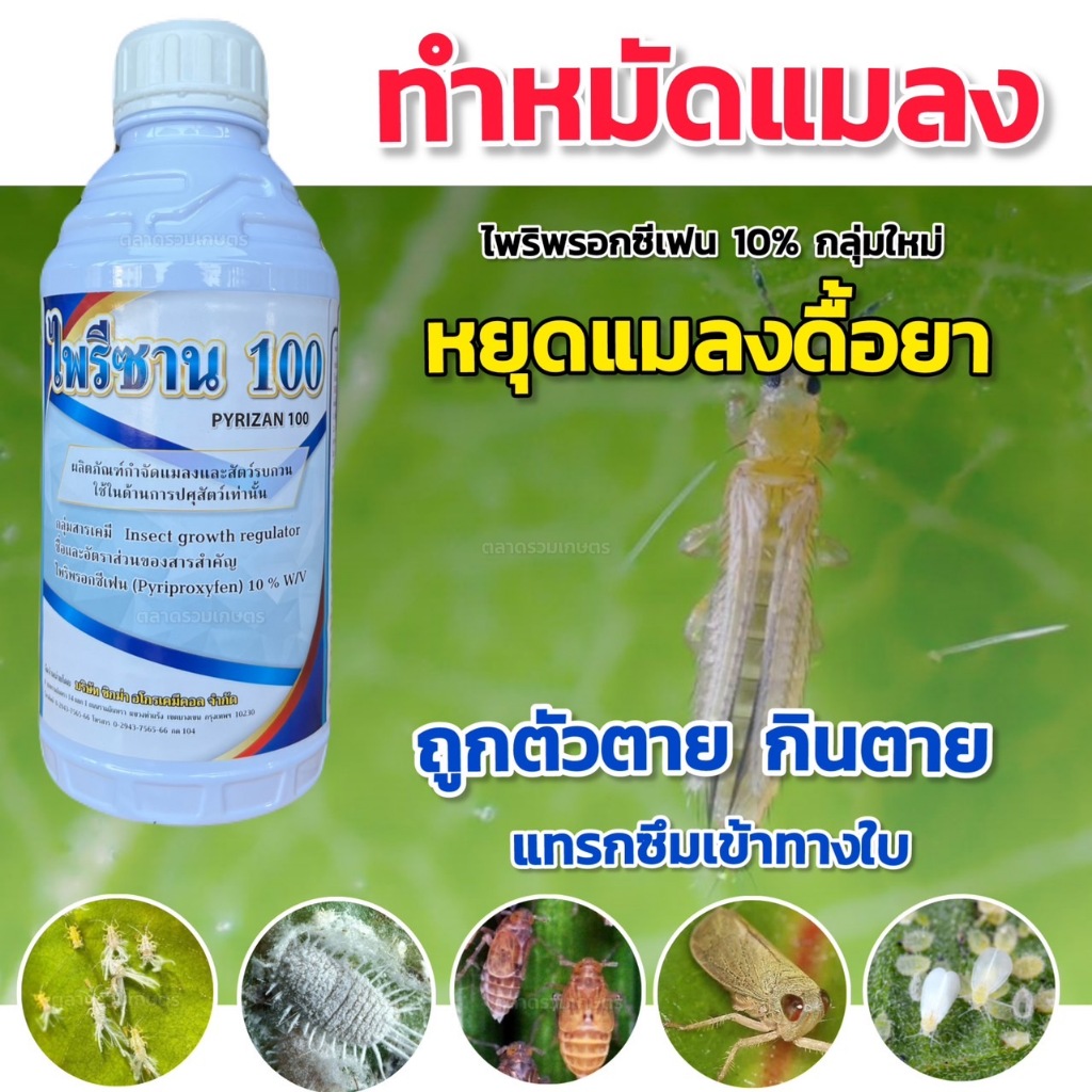 ไพริพรอกซีเฟน 10% 1 ลิตร ไพรีซาน 100 สารกำจัดแมลง กลุ่มใหม่ (ถูกตัวตาย กินตาย แทรกซึม) ทำหมัดแมลง 1 ขวด ได้น้ำ 1000 ลิตร