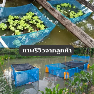 มุ้งฟ้า มุ้งไนล่อน ผ้าแยงเขียว ตา16 กว้าง 0.9 ม. 1.2 ม. 1.5 ม. 2 ม. และ 3 ม.กระชังปลา กันแมลง Union