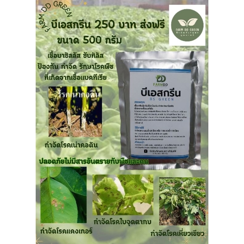 บีเอสกรีน ป้องกันและกำจัด รักษาโรคพืชที่เกิดจากเชื้อแบคทีเรีย 500g (FARM DD GREEN)