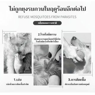 🐾 ปลอกคอกันเห็บหมัด 🐶🐱 สำหรับสุนัขและแมว 🐕🐈 ป้องกันยาวนานถึง 8 เดือน 🌟 ปลอดภัย ไร้กังวล 🎉