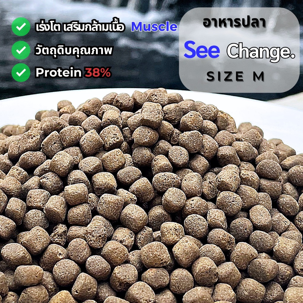 อาหารปลาเร่งโต See Change Muscle.สีน้ำเงิน เม็ด M หนัก 1กก. เร่งโต เสริมกล้ามเนื้อโครงสร้างและผิวพรรณ