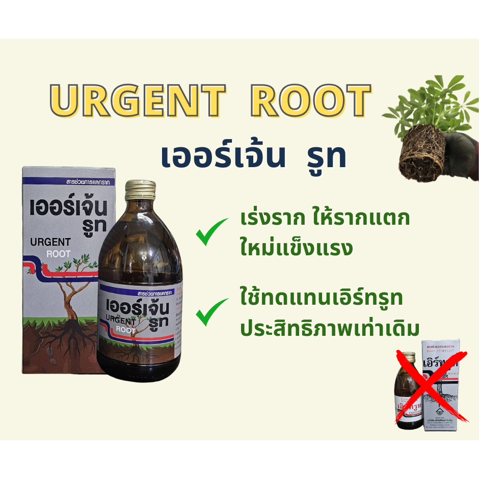เอิร์ทรูท - เออร์เจ้นรูท สารเร่งรากIBA ใช้กับไม้เนื้อเยื่อ