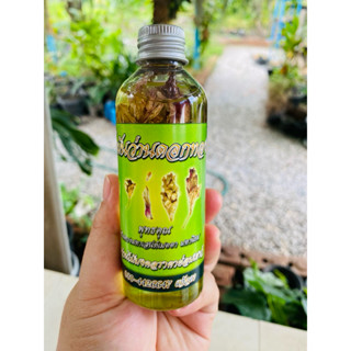 น้ำมันว่านดอกทอง(ขนาด100มล.)