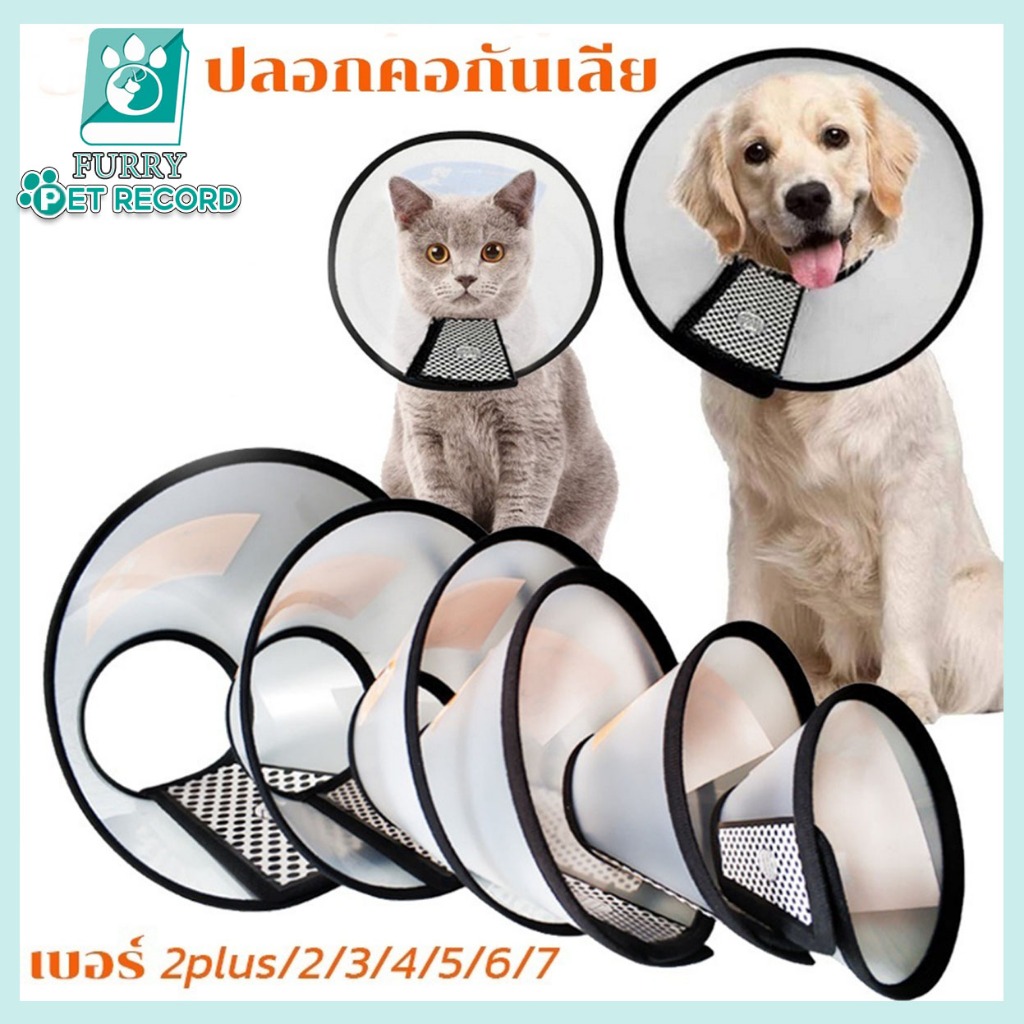 ปลอกคอกันเลีย ลำโพงกันเลีย คอลล่ากันเลีย สัตว์เลี้ยง คอลล่าสุนัข คอลล่าแมว ลำโพงหมา คอลล่าหมา ปลอกคอกันเลียสุนัข