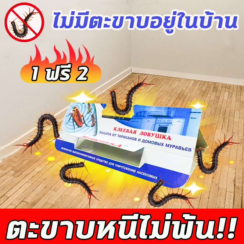 10 ปีที่ไม่มีตะขาบ ML ไล่ตะขาบ กําจัดตะขาบ กันตะขาบ 1 ฟรี 2 ฆ่าตะขาบกายภาพใหม่ ปลอดภัยและเป็นมิตรกับสิ่งแวดล้อม