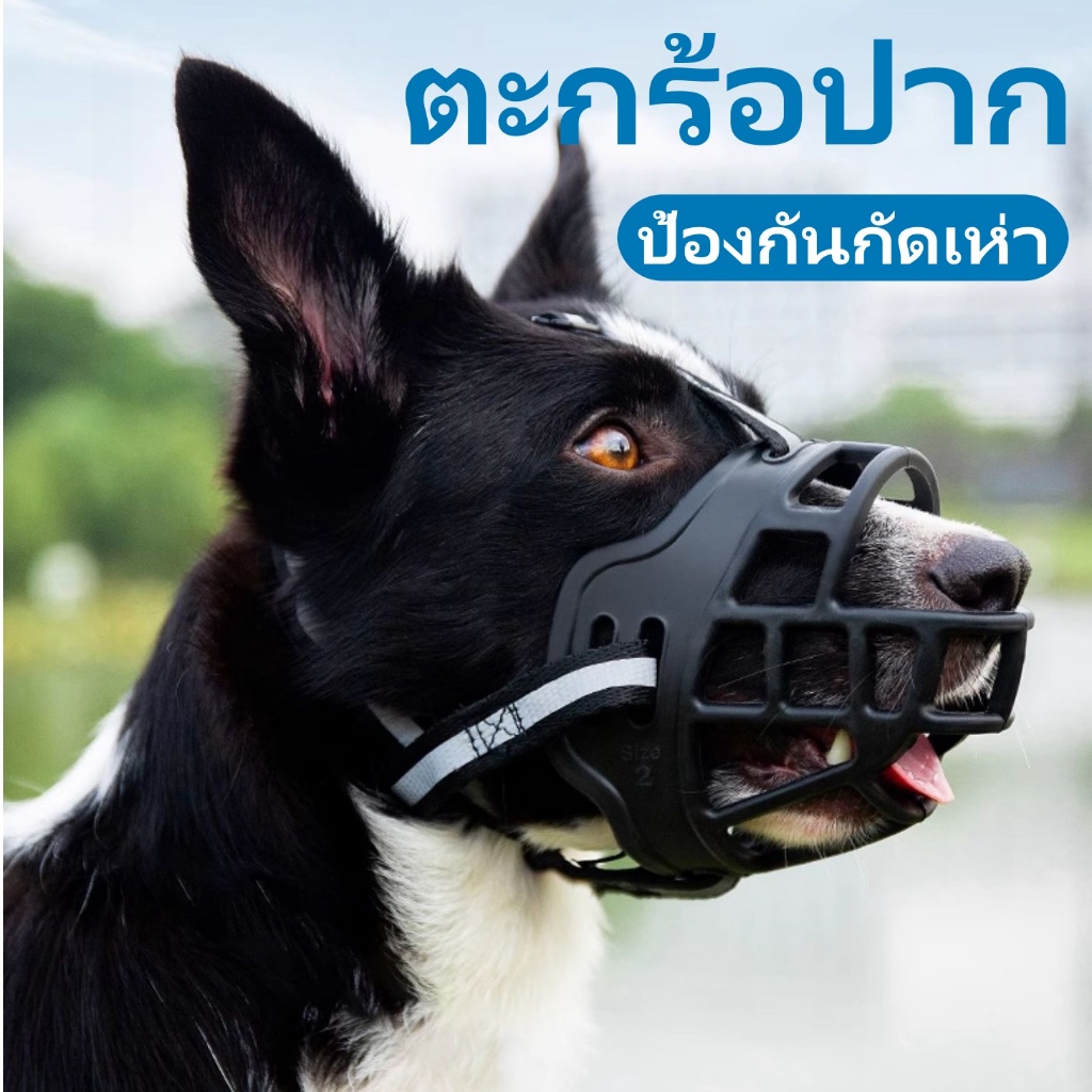 ตระกร้อครอบปากสุนัข 🐕 ป้องกันการกัด & เห่า 🚫 ป้องกันการกินแบบสุ่ม 🍖 ใส่สบาย ไม่ทำร้ายปาก ปรับพอดี