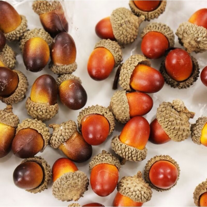 (ส่งไว )ลูกเอคอร์น ลูกโอ๊คปลอม วอลนัท 10ลูก walnut acorn ตกแต่งคริสมาสต์ ธีมฤดูใบไม้ร่ววง autumn christmas sensory play
