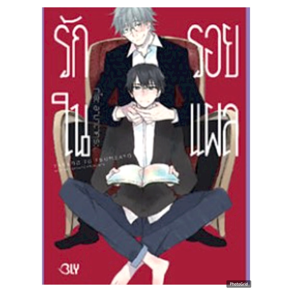 รักในรอยแผล เล่มเดียวจบ การ์ตูนวาย หนังสือการ์ตูนวาย BL มังงะ มือหนึ่ง BLY 30/11/67